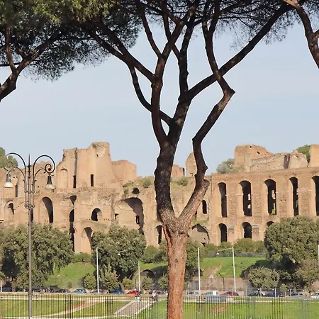 Ych-exclusive On Circus Maximus